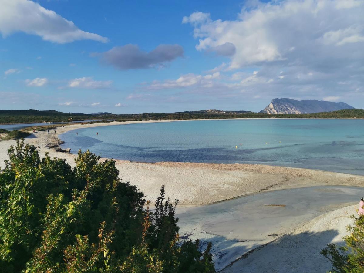 Wonderland Hotel San Teodoro  Kültér fotó