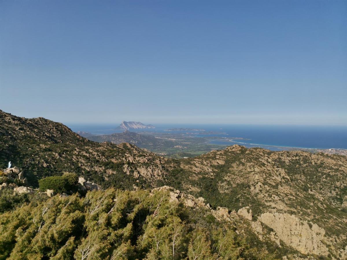 Wonderland Hotel San Teodoro  Kültér fotó