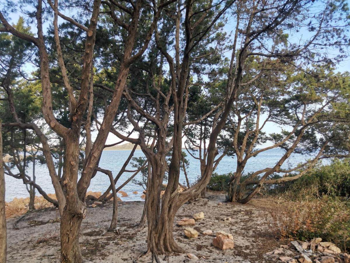 Wonderland Hotel San Teodoro  Kültér fotó