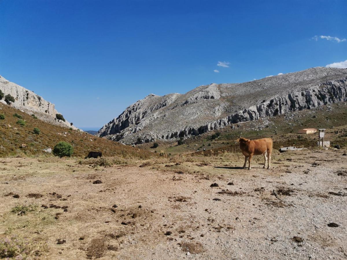 Wonderland Hotel San Teodoro  Kültér fotó