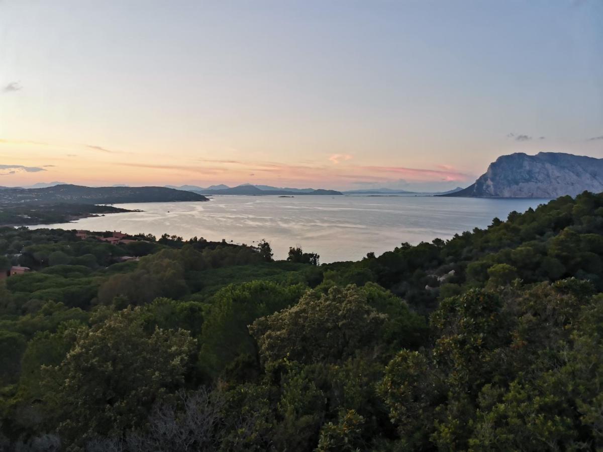 Wonderland Hotel San Teodoro  Kültér fotó
