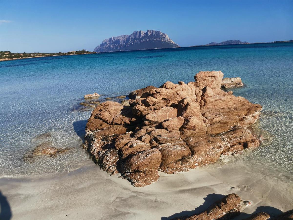 Wonderland Hotel San Teodoro  Kültér fotó