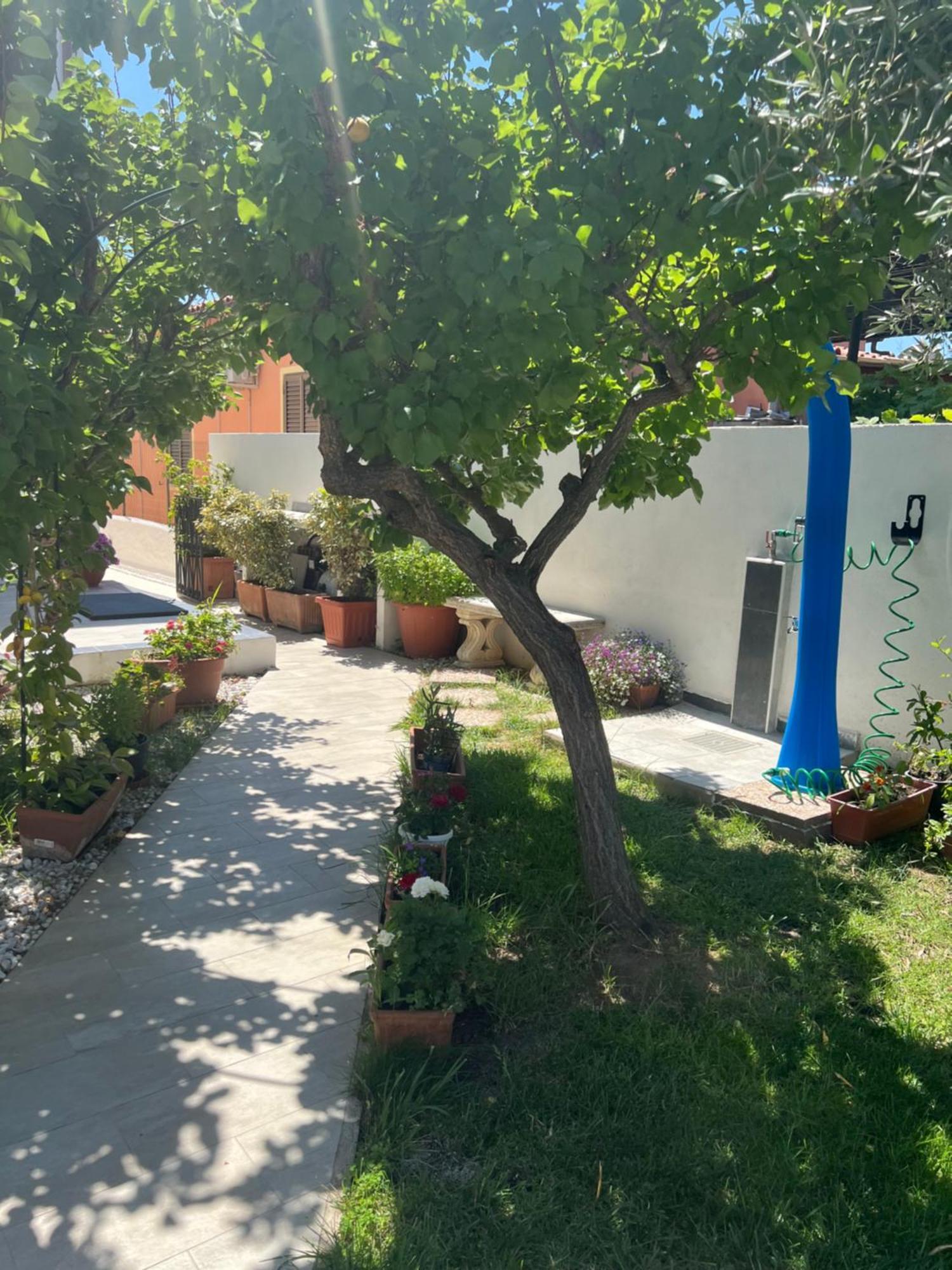Wonderland Hotel San Teodoro  Kültér fotó