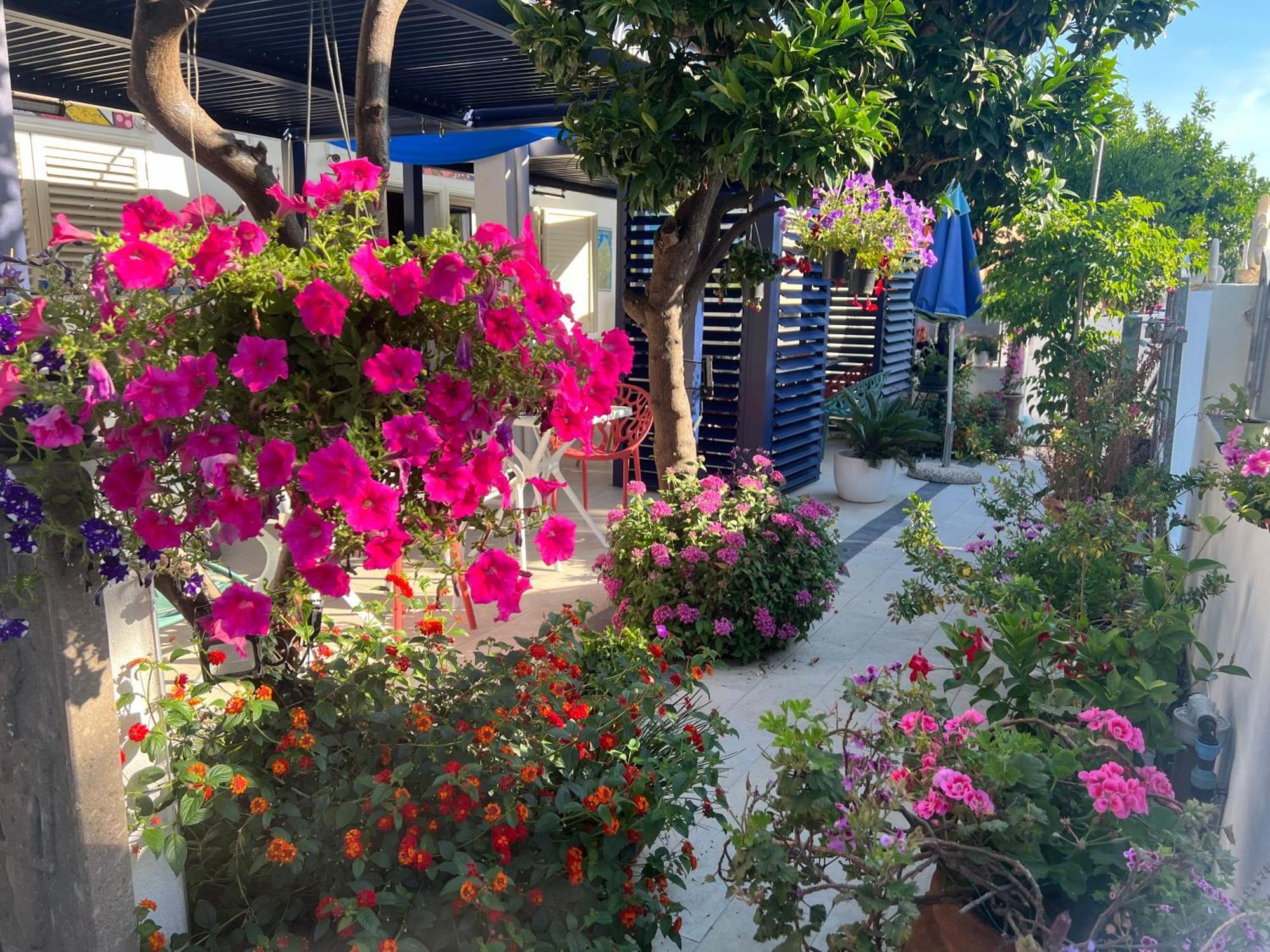 Wonderland Hotel San Teodoro  Kültér fotó