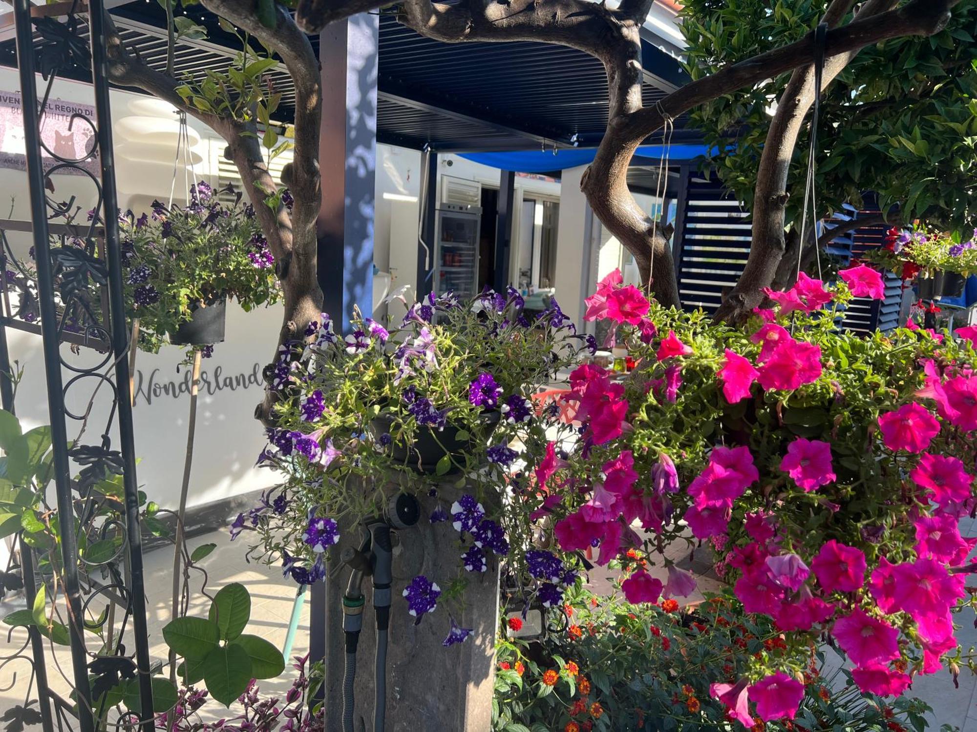 Wonderland Hotel San Teodoro  Kültér fotó