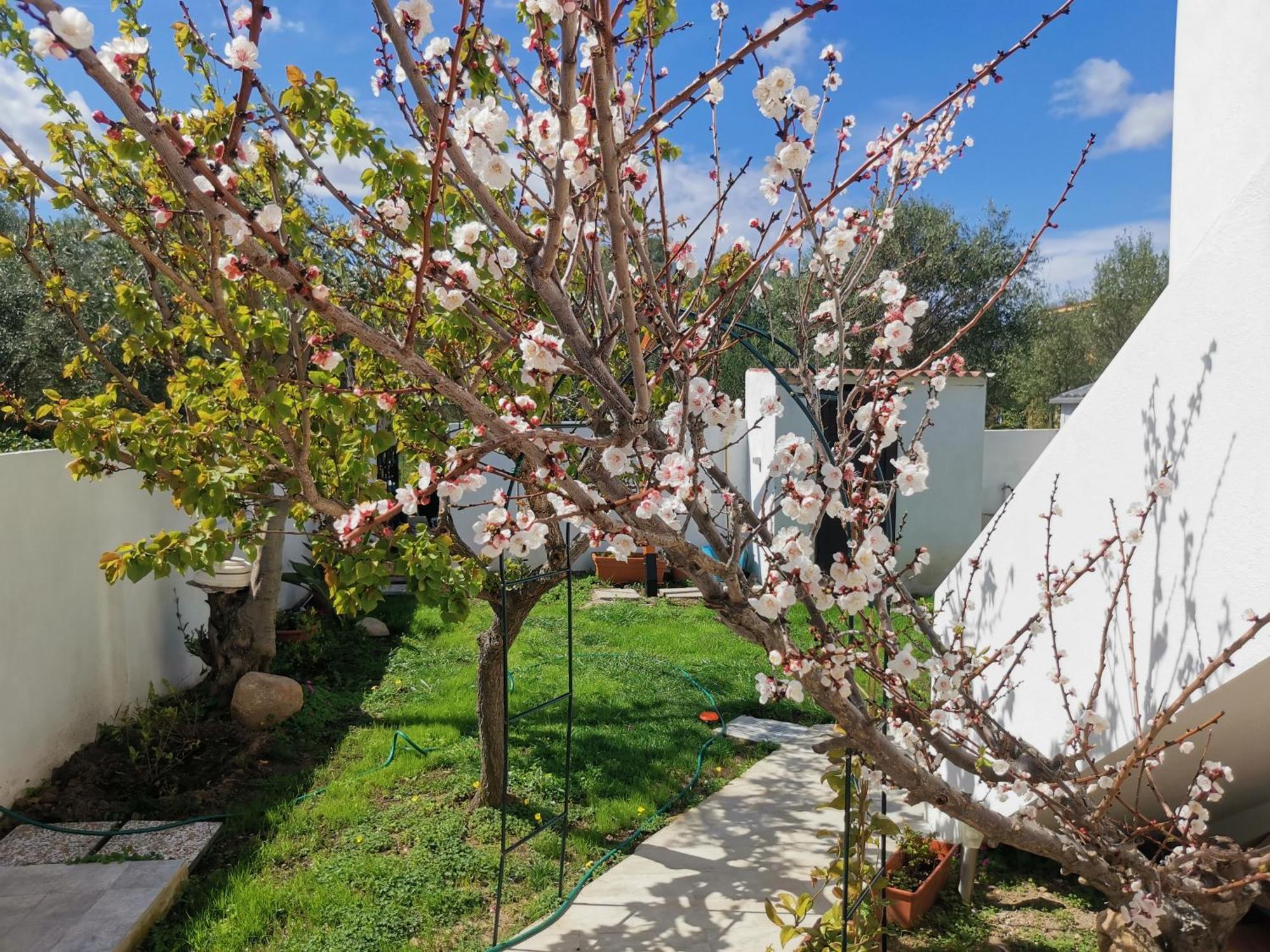 Wonderland Hotel San Teodoro  Kültér fotó